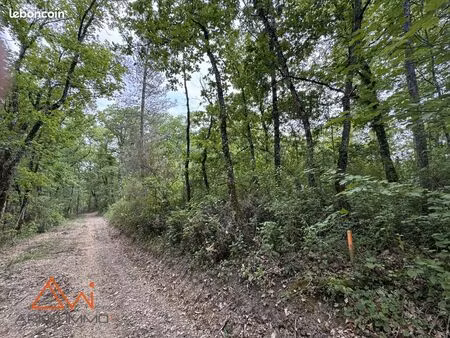 terrain 37234 m² lisle-sur-tarn
