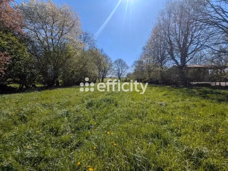 vente terrain 2241 m² à villeneuve-d'ascq (59491)  484 000 €