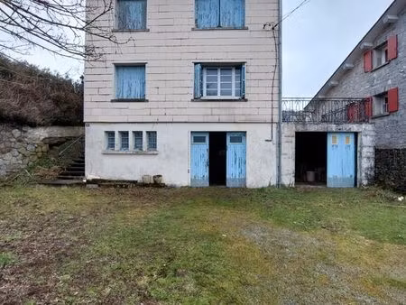 maison avec grand jardin et dépendances