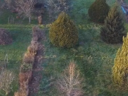 maison 2 pièces 50 m²