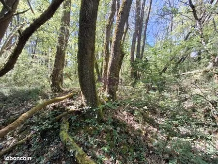 terrain 3 320 m² bouillac