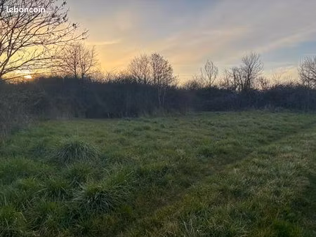 terrain agricole 13 592 m² leigne les bois