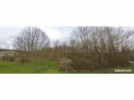 terrain agricole 15 000 m² leigne les bois