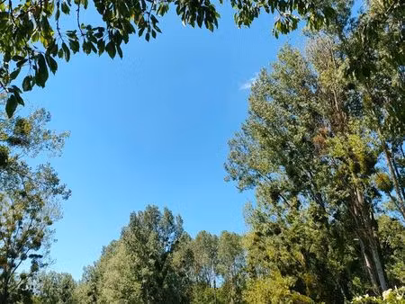 terrain de loisir avec étang