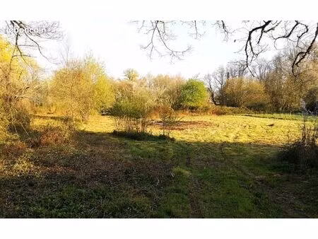 terrain 1892 m² – arboré – calme – mare – cu disponible