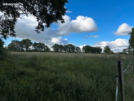 terrain agricole