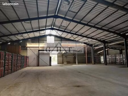 local industriel 311 m²