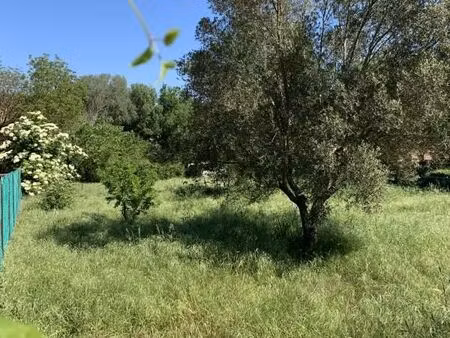terrain 1 270 m² carces