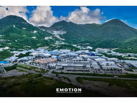 vente locaux professionnels 0 pièces 180 m² à saint-martin (97150)  385 000 €