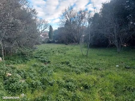 terrain 970 m² camps la source