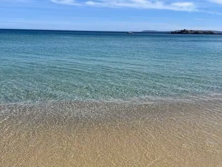 famille cherche appartement au le lavandou  rayol