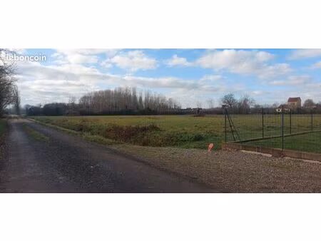terrain constructible
