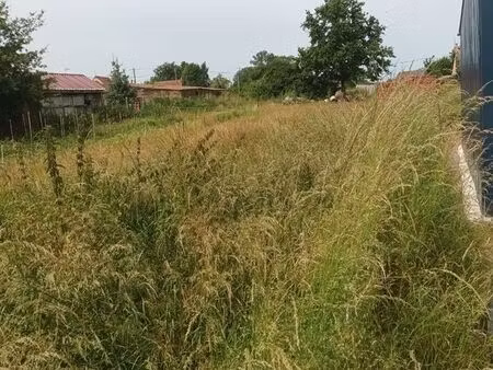 terrain constructible