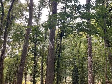 terrain 29642 m² saint-sauveur-en-puisaye