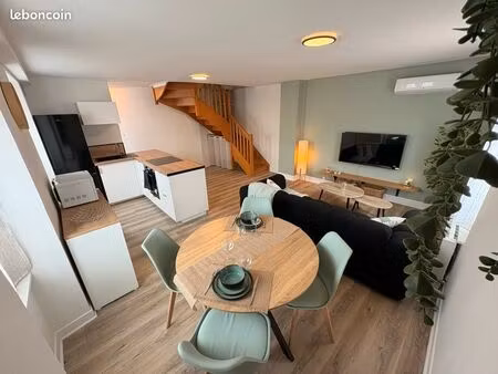 magnifique duplex rénové et meublé