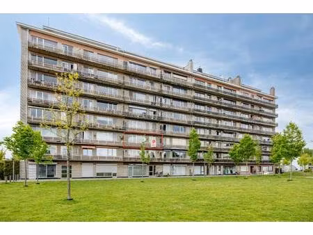 lichtrijk appartement met 3 kamers te koop in merksem
