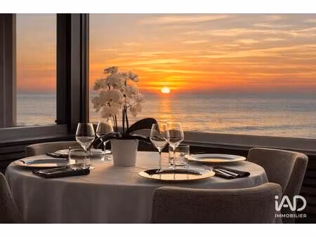 vente restaurant 40 000 m²