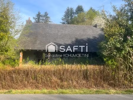 idéal pour les amoureux de nature et rénovation !