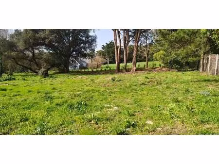terrain guerande (44)