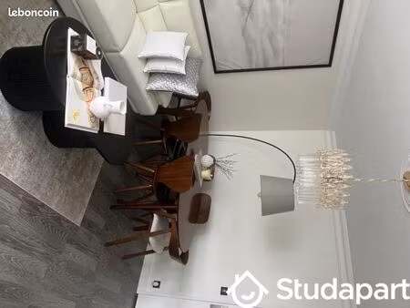 chambre 1 pièce 19 m²