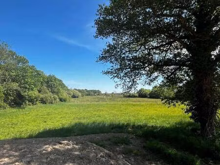 vente terrain à vue (44640) : à vendre / vue