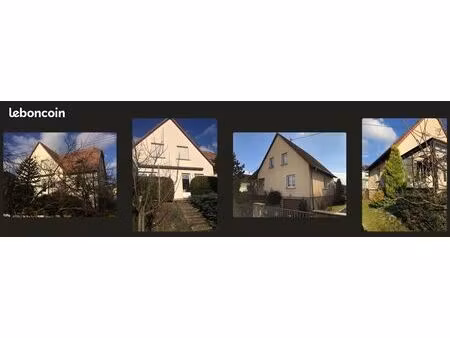 maison 7 pièces 165 m² haguenau