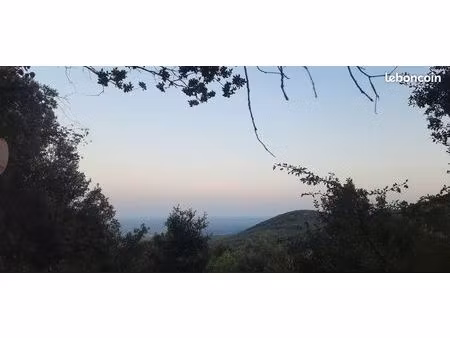 camping sur terrain boisé en montagne