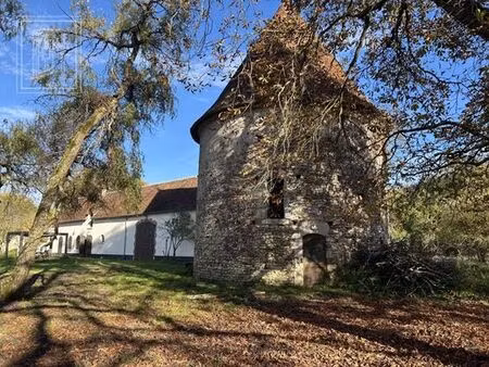 maison de luxe de 11 pièces en vente à pruniers-en-sologne  centre