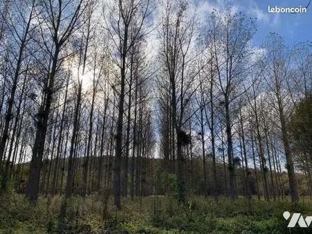 terrain 88923 m² la chapelle yvon