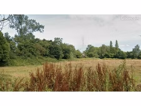 terrain 620 m² trouville sur mer