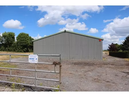 location locaux professionnels 0 pièces 310 m² à pont-sur-sambre (59138)  890 €
