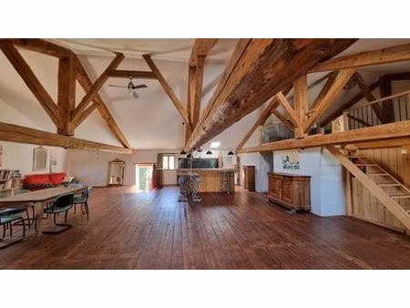 maison de prestige en vente mailhac  france
