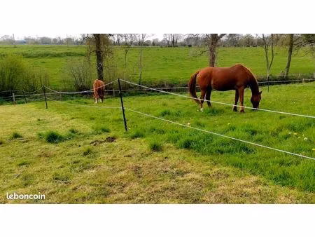 cherche terrain agricole