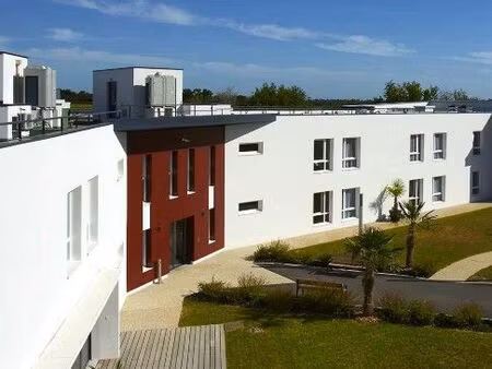 studio 1 pièce 20 m²