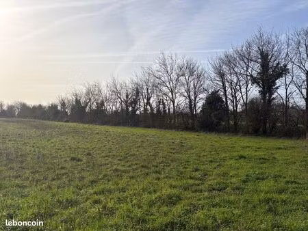 terrain 305 m² saint rogatien