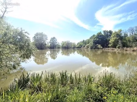 terrain 58 385 m² precy