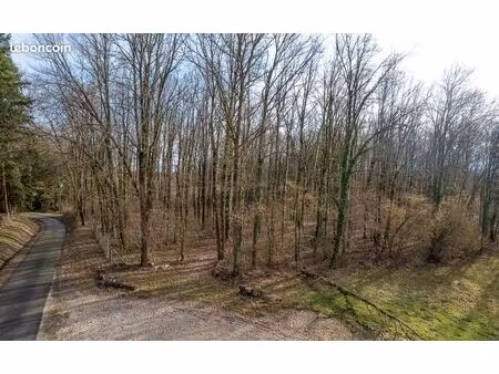 terrain 6 783 m² thenioux