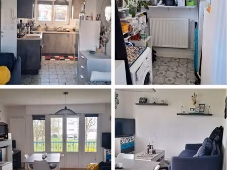appartement t3 52m2 petit marseille