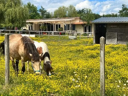 ? propriété unique – 4 hectares sans aucun vis-à-vis