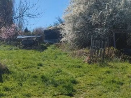 grand jardin forêt 1 6 hectares avec yourte et chalet