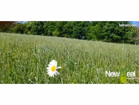 terrain 5 060 m² tulle
