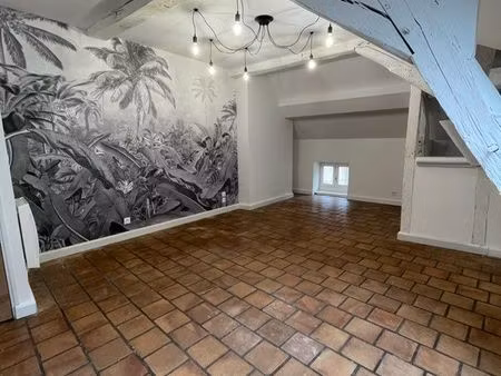 beaune  centre ville historique  appartement t2 propre et très agréable refait à neuf