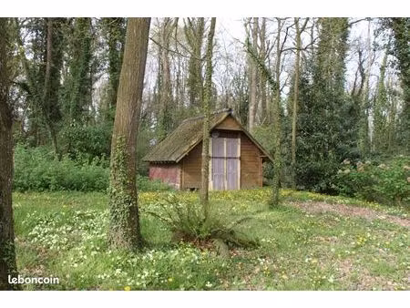 terrain boisé avec cabanon