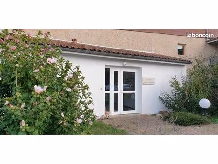 local professionnel 40m²