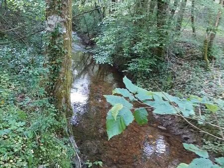 propriété de loisir et bois-1 8 hectare (17 925m²)-dossier complet-dossier complét