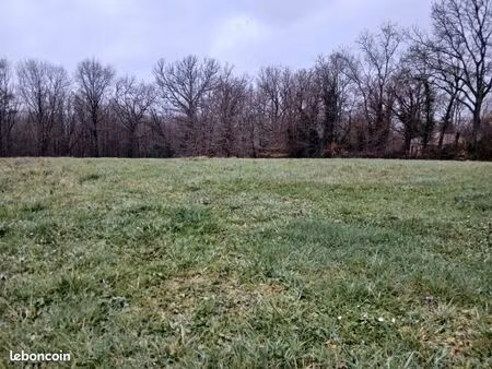 terrain 4 000 m² riberac