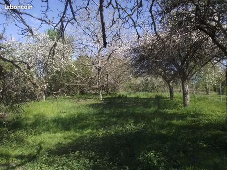 vente terrain constructible