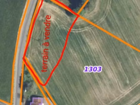 terrain constructible