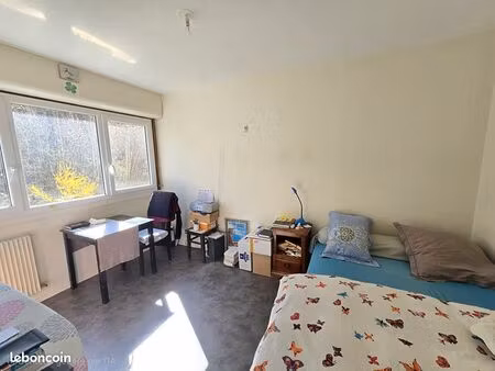studio 1 pièce 20 m²