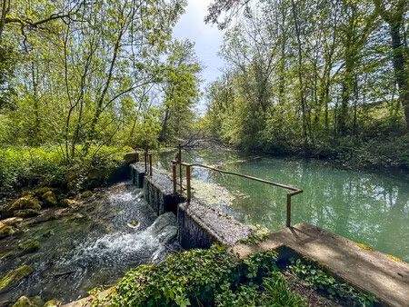moulin à vendre à manzac-sur-vern (24110) - dordogne